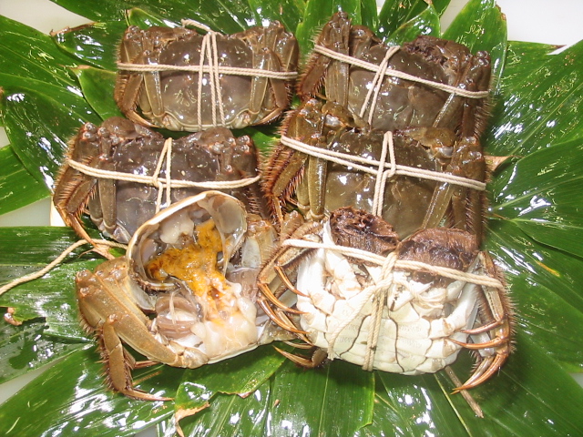 上野アメ横 野田幸 極上本マグロ ふぐ スッポン 上海蟹 各種活魚 鮮魚 貝類の卸 小売販売 上海蟹